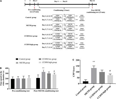 Candidate Chinese Herbal Medicine Alleviates Methamphetamine Addiction via Regulating Dopaminergic and Serotonergic Pathways